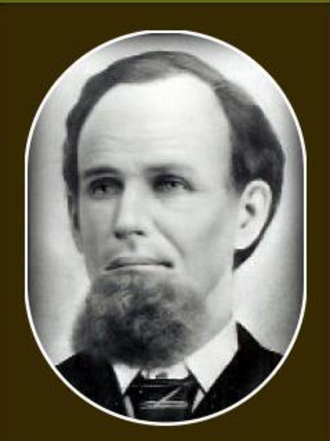 Mathew William Dalton (1829 - 1918) Profile